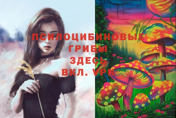 спайс Бугульма